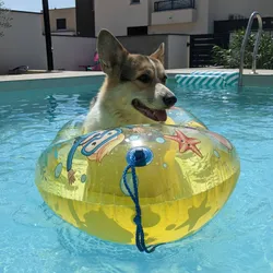 A corgi on an inflatable boat in a pool