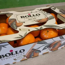 A box full of clementines