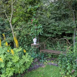 A bench between bushes in my great aunt's garden