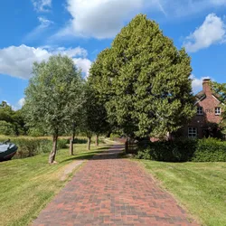 A brick street with trees in Wiesmoor