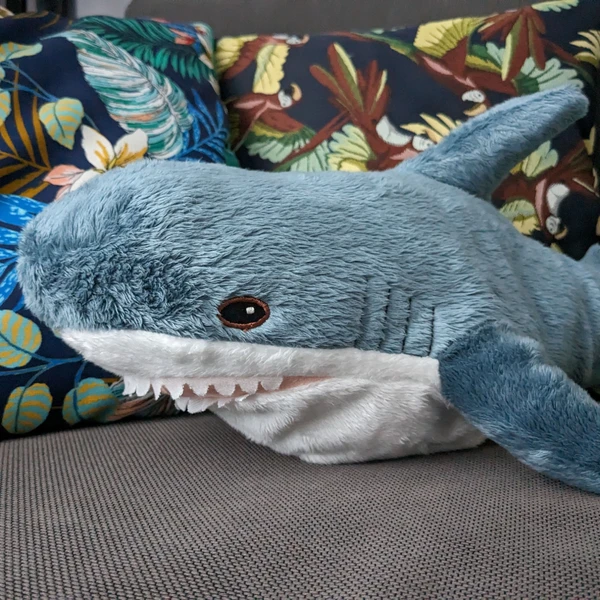 A blue shark as plush toy in front of two cushions