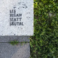 A text that is on top of a stone plate saying "Leb vegan statt brutal" which translates to "Live vegan instead of brutal"